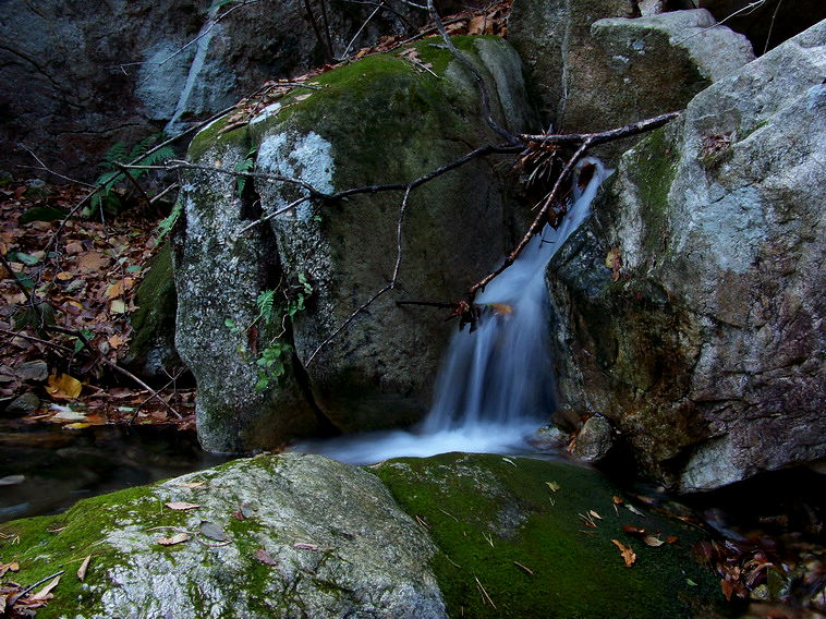 100_5202_缩小大小.JPG