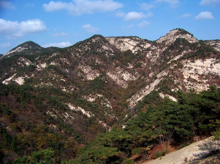 100_5217_缩小大小.jpg