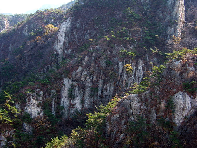 100_5213_缩小大小.JPG