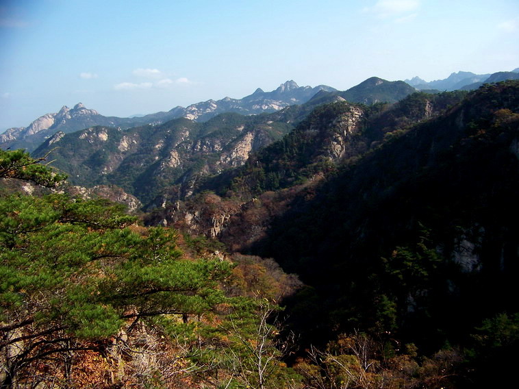 100_5212_缩小大小.jpg
