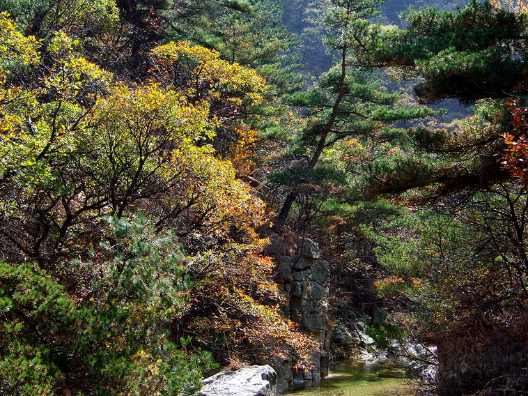 100_5233_缩小大小.JPG