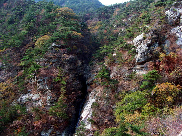 100_5246_缩小大小.JPG