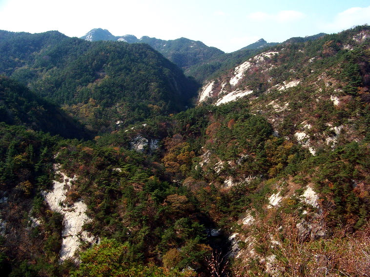 100_5258_缩小大小.JPG