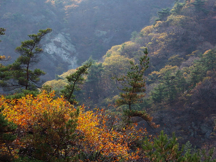 100_5244_缩小大小.JPG