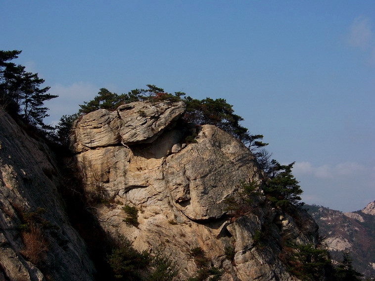 100_5266_缩小大小.JPG