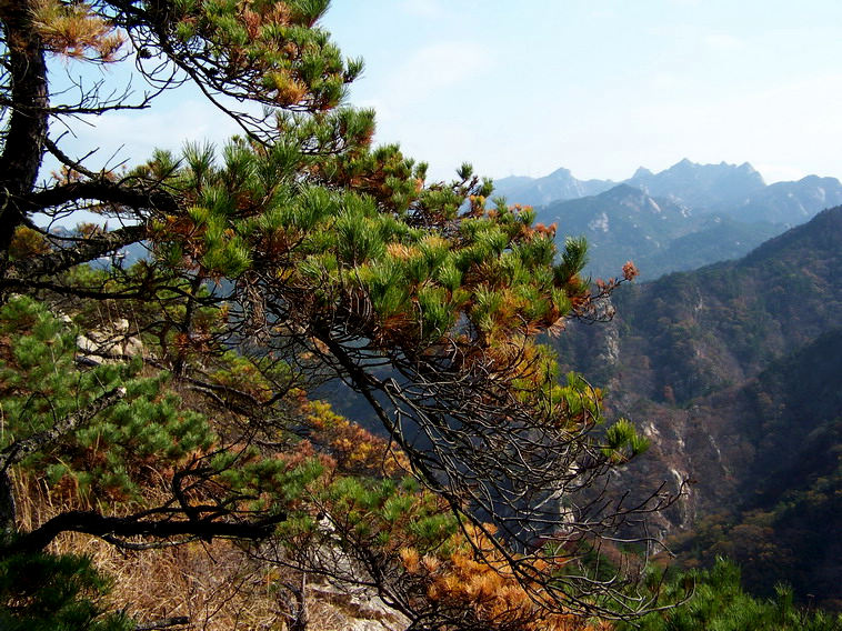 100_5263_缩小大小.JPG