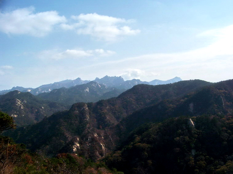 100_5261_缩小大小.jpg