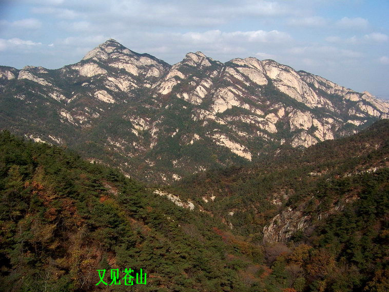 100_5264_缩小大小.jpg