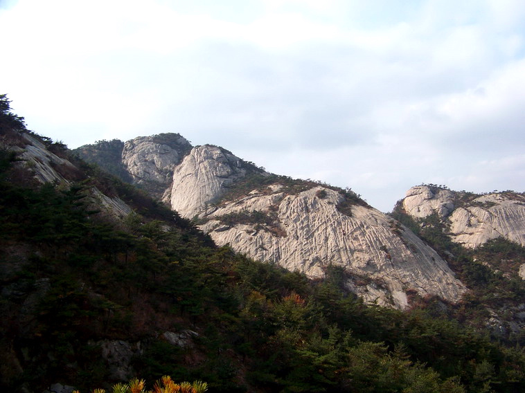 100_5279_缩小大小.JPG