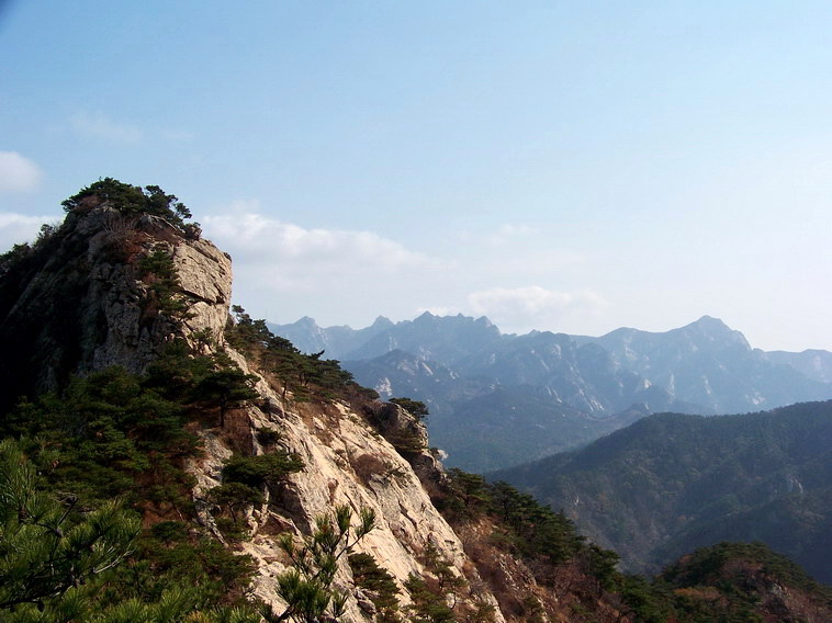 100_5268_缩小大小.jpg