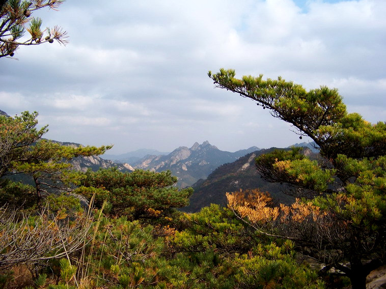 100_5280_缩小大小.JPG