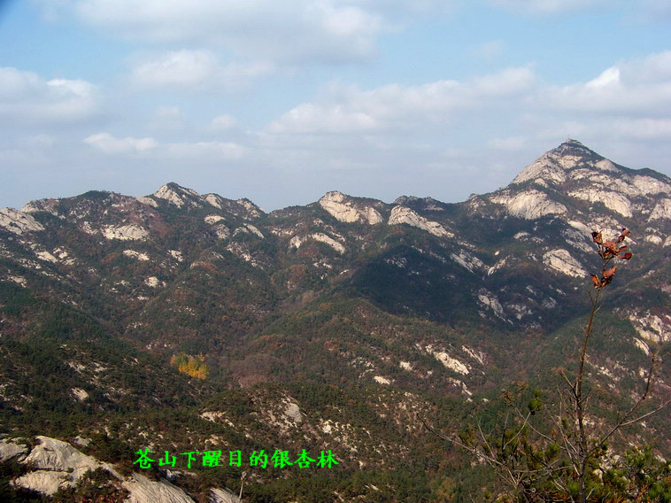 100_5272_缩小大小.JPG
