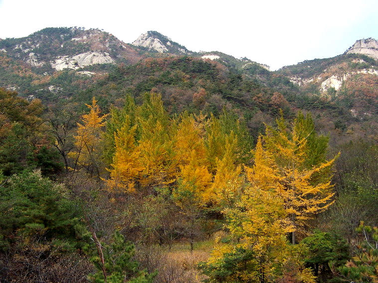 100_5306_缩小大小.jpg