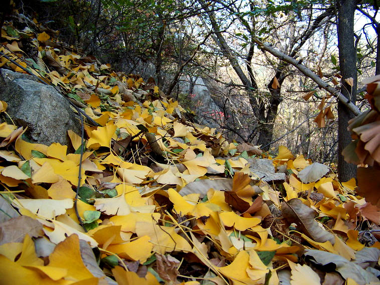 100_5342_缩小大小.JPG