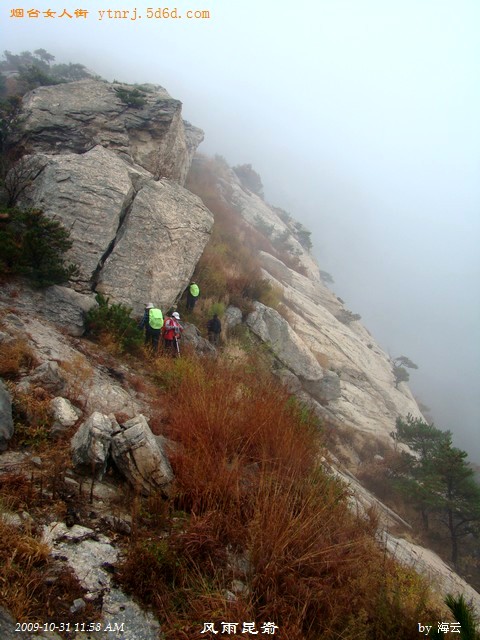 DSC04990.jpg