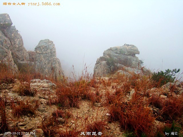 DSC05011.jpg