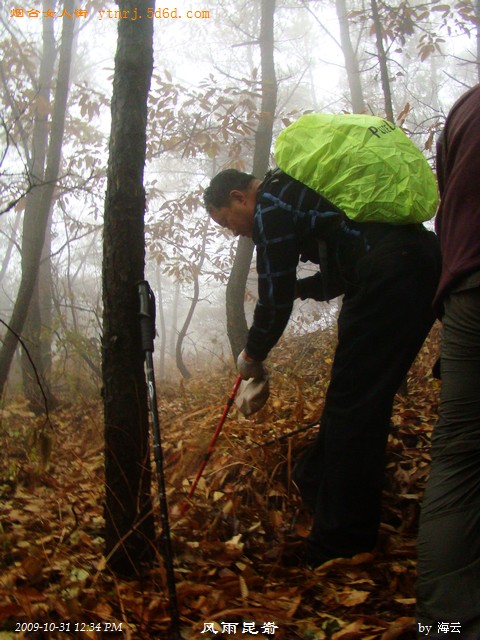 DSC05017.jpg
