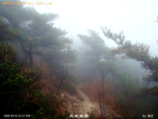 DSC05022.jpg