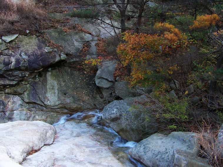 100_5383_缩小大小.JPG