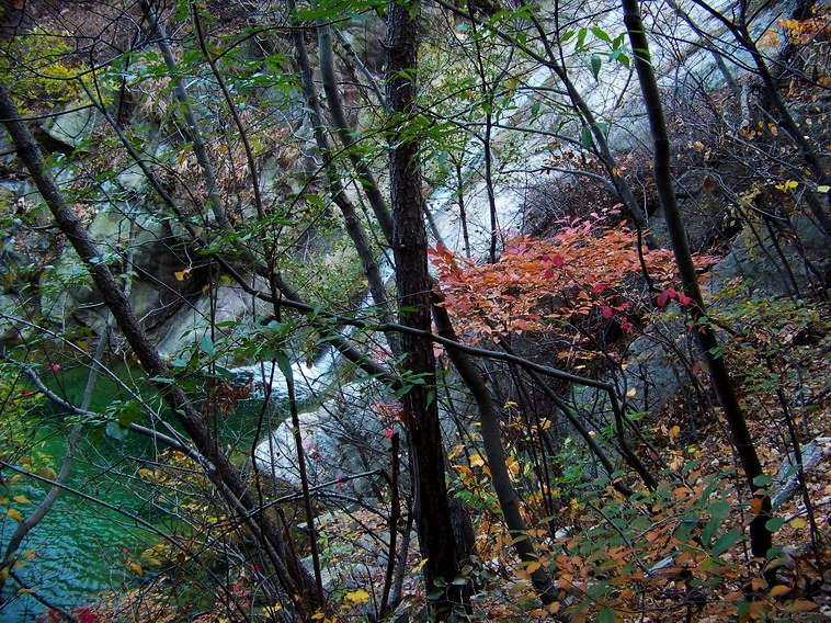 100_5395_缩小大小.JPG