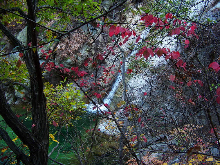 100_5396_缩小大小.JPG