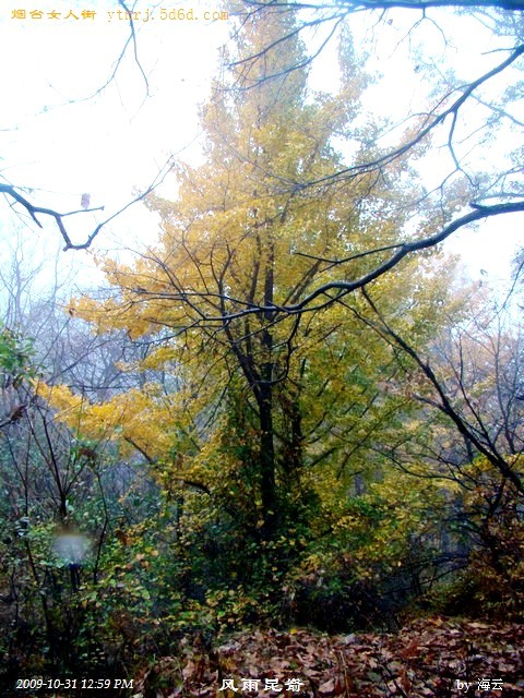 DSC05100.jpg