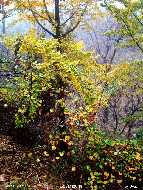 DSC05107.jpg