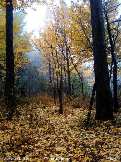DSC05117.jpg