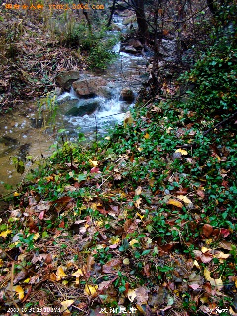 DSC05112.jpg