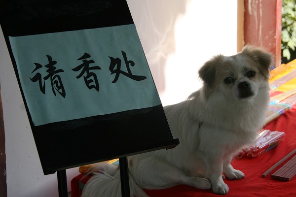 请香处.jpg