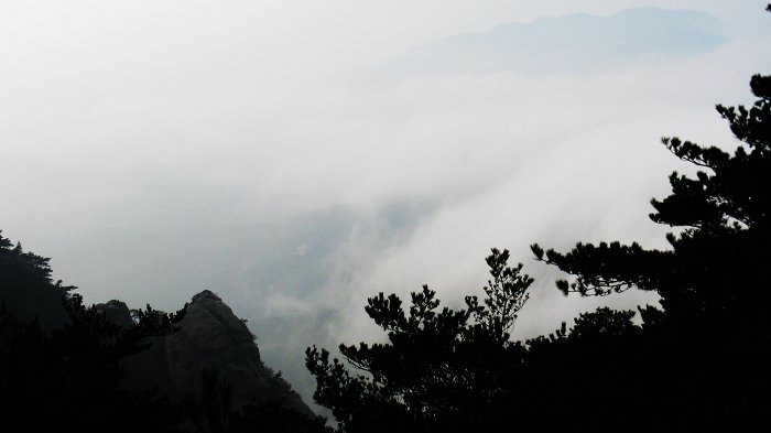 复制照片 157.jpg