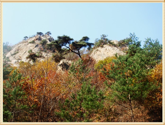 秋色昆嵛 (186).JPG