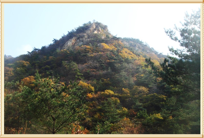秋色昆嵛 (175).JPG