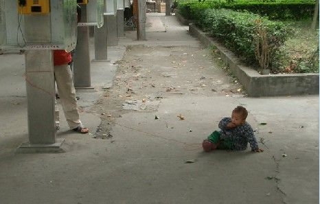 4493803_60[1].jpg