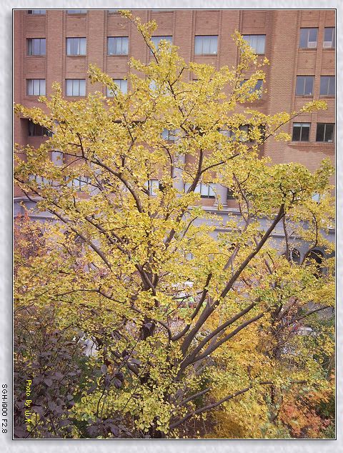 SNC00072.jpg