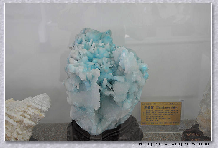 nEO_IMG_DSC_4004.jpg