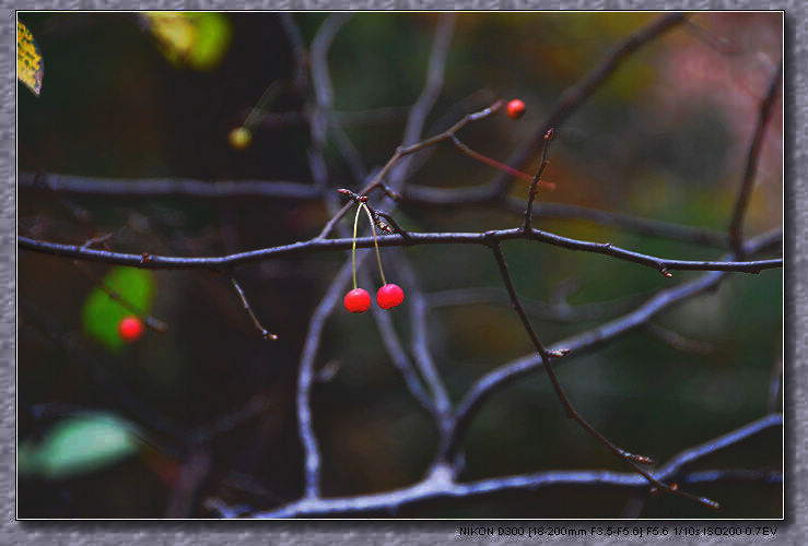 nEO_IMG_DSC_4091.jpg