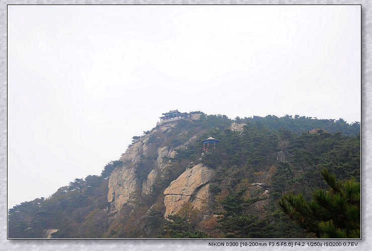 nEO_IMG_DSC_4115.jpg