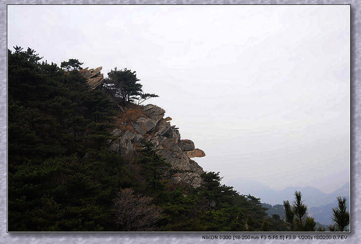 nEO_IMG_DSC_4139.jpg