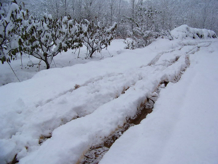 100_5647_缩小大小.JPG