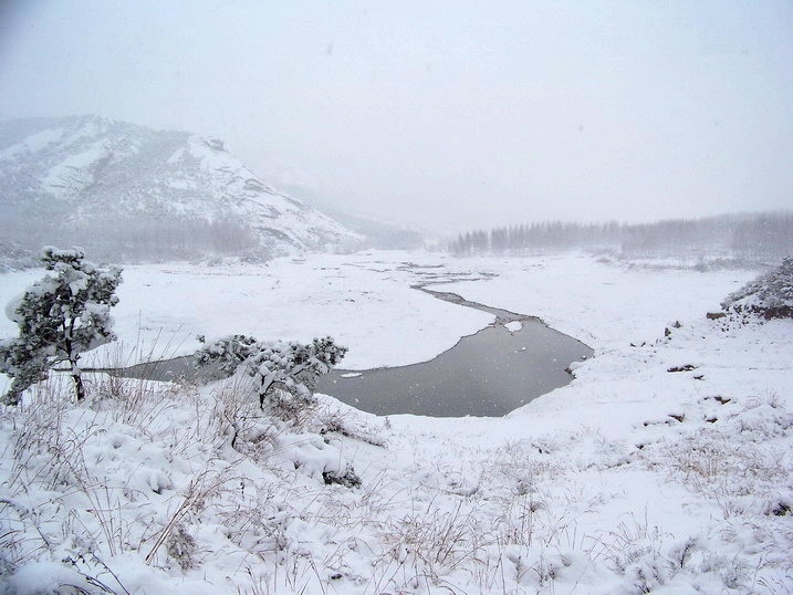 100_5687_缩小大小.jpg