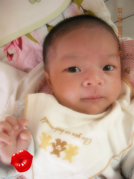 DSCN8241.jpg