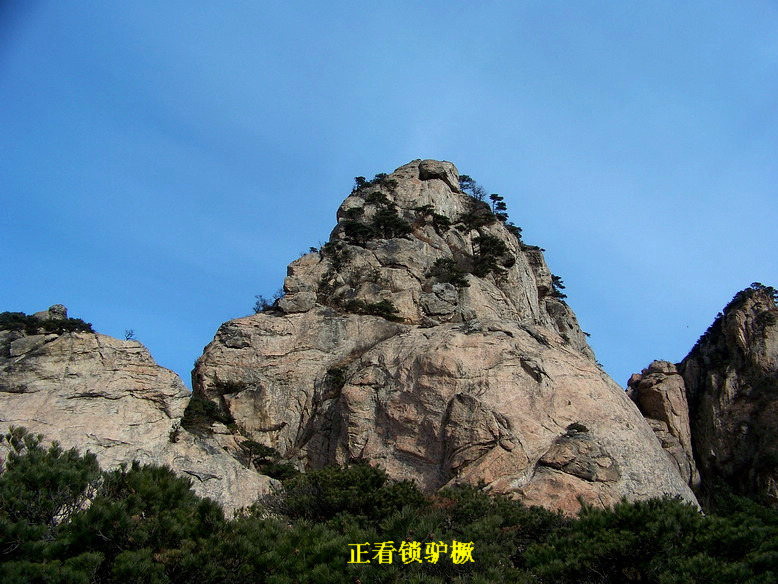 100_5932_缩小大小.JPG