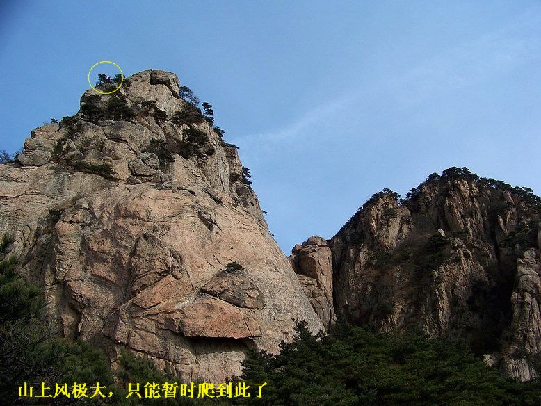 100_5951_缩小大小.JPG