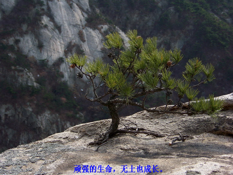 100_5967_缩小大小.JPG