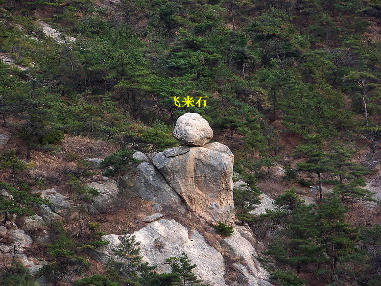 100_6044_缩小大小.JPG