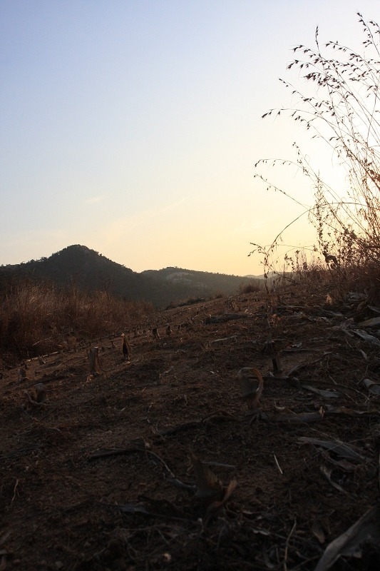 IMG_7451.JPG