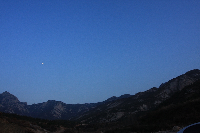IMG_7454.JPG