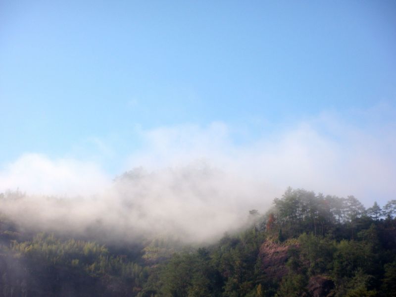 武夷山.雾.jpg