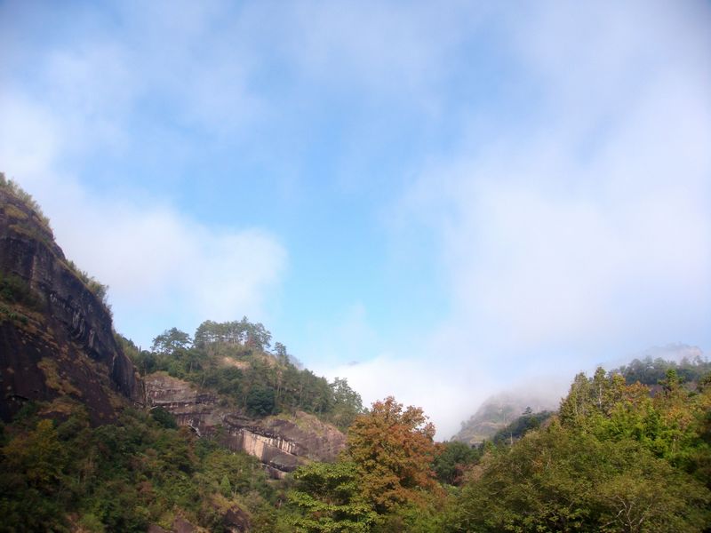 武夷山.山.雾.jpg